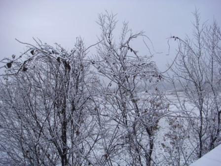 DSC00351.JPG