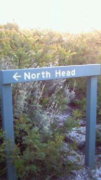 north_head.jpg