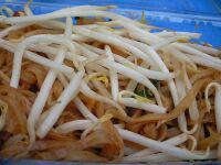 thaifood_02.jpg
