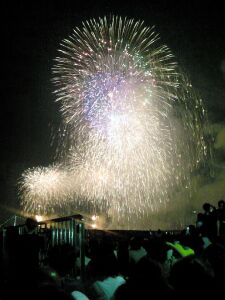 tokyowan-hanabi_01.jpg