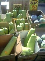 vegitable.jpg